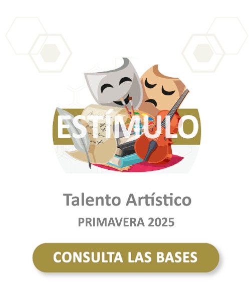 Beca Talento Universitario 